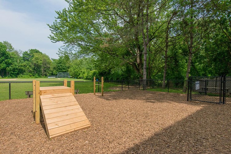 Bring your dog to our on-site dog park so they can get all the exercise they need!