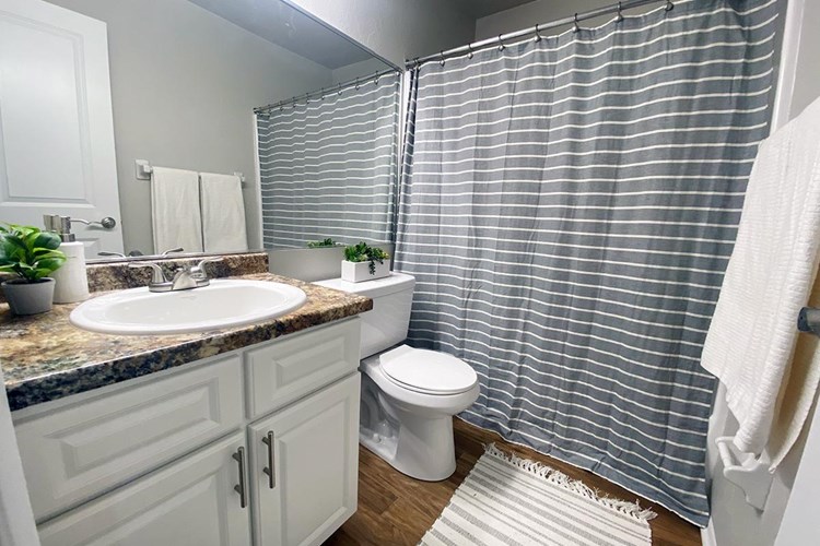 Every bathroom is newly remodeled featuring updated countertops, cabinetry, and wood-style flooring.