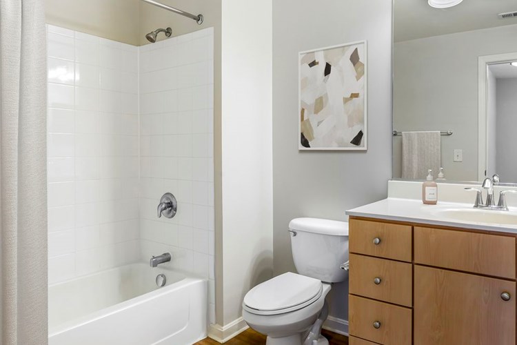 Renovated Package I bath with light oak cabinetry, white quartz countertops, and hard surface flooring