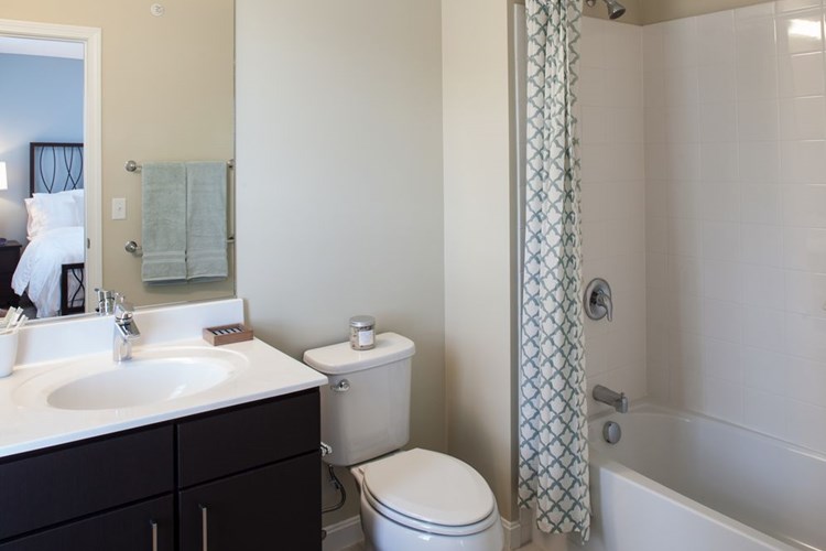 Renovated Package I bath with white porcelain countertops, dark cabinetry, and hard surface flooring