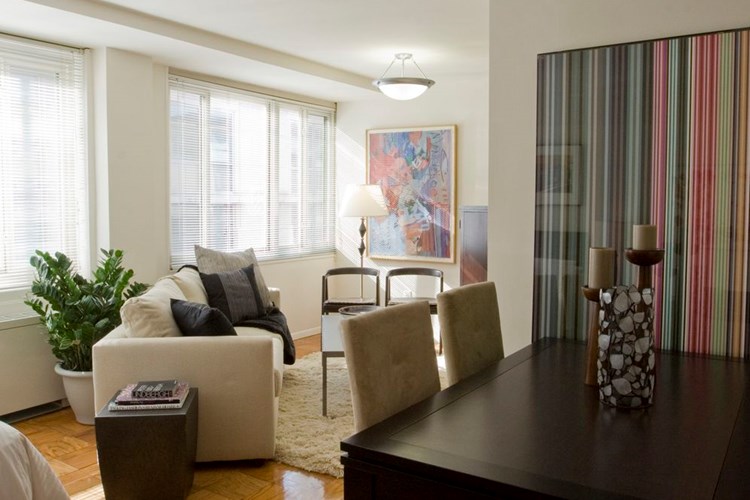 Studio apartment space accommodates both a living room area with a sofa and side tables as well as a dining room area with a standard-size dining table