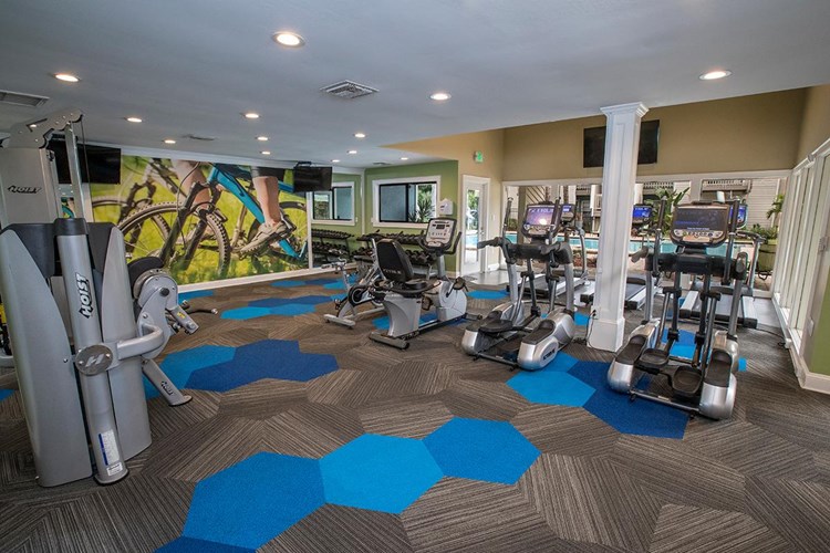 Our fitness center has all the cardio and weight training equipment you need for a full body workout. 
