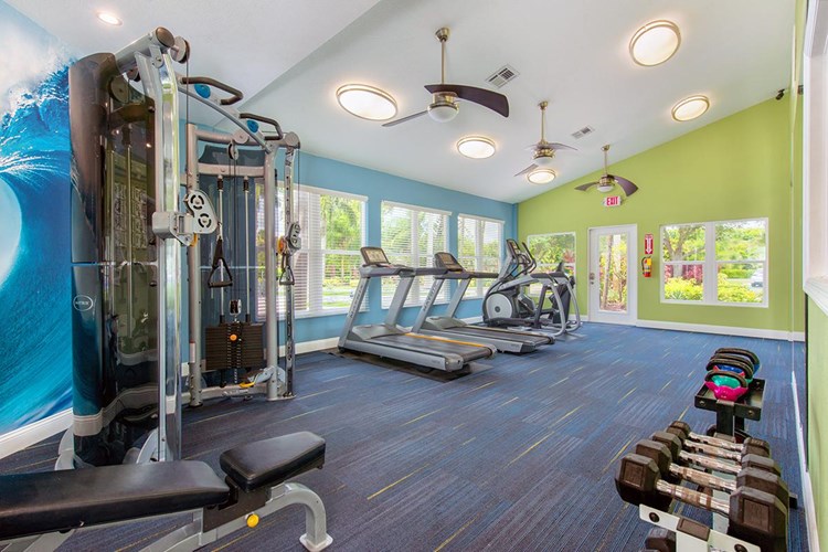 Newly renovated fitness center with brand new cardio machines.