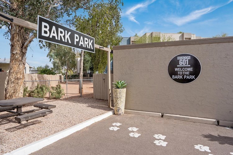 Bring your furry friend to our off-leash dog park for some fun.