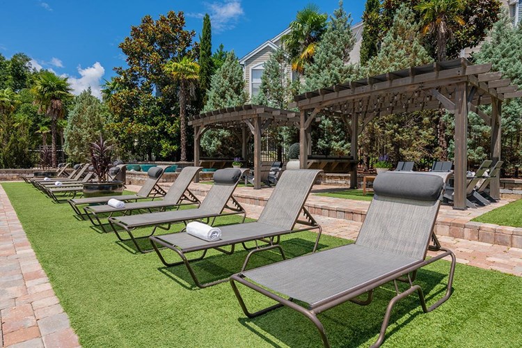 Relax in one of our poolside loungers or cabanas located around the pool area.