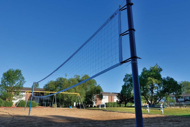 Play a game of sand volleyball 