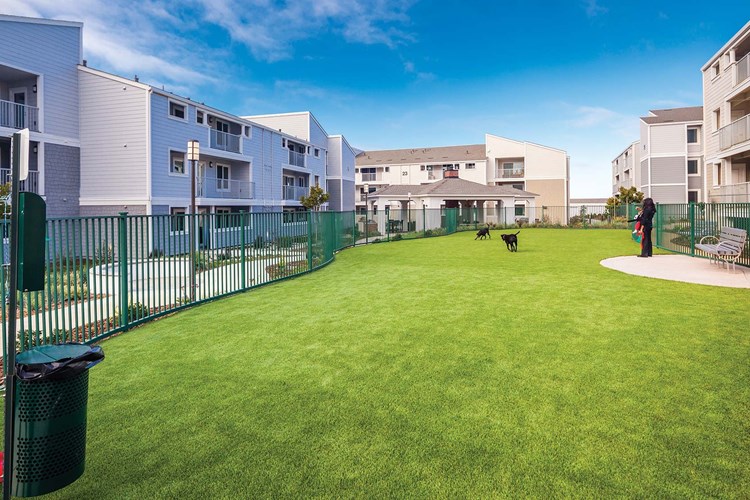 Enjoy our pet-friendly community with a fenced-in dog park