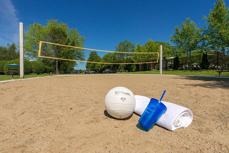 Get in a game with friends at our sand volleyball court.