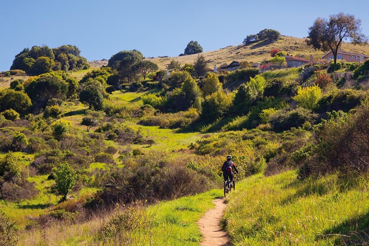 Enjoy amazing hiking and biking trails right in your backyard located on Ring Mountain