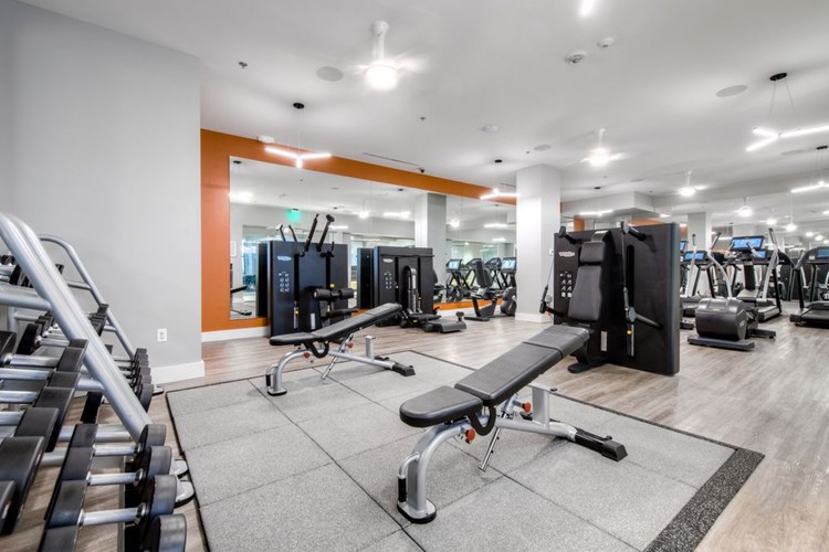 Fitness center with cardio equipment, strength equipment, and flat screen television