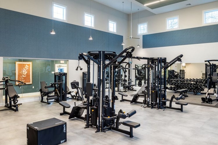 State-of-the-art fitness center with strength equipment