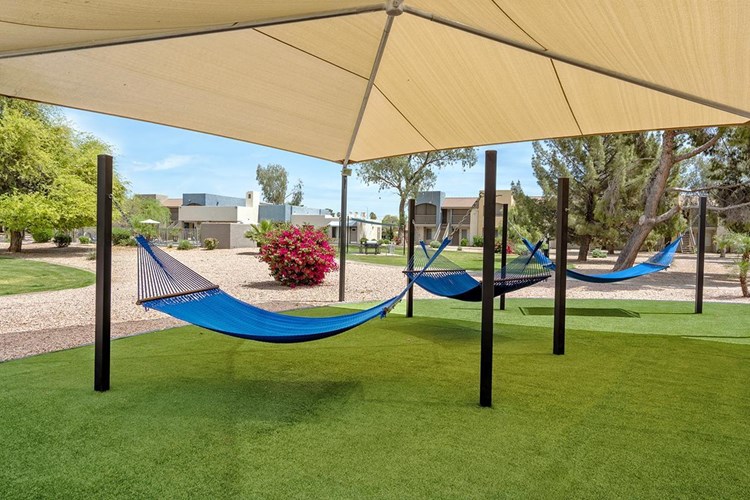 Our hammock garden is the perfect hangout spot to get the family together and enjoy the AZ weather.