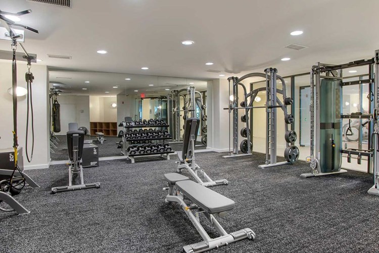 Newly renovated fitness center 