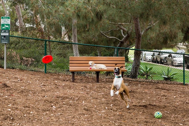 Public Dog Park Adjacent to Community