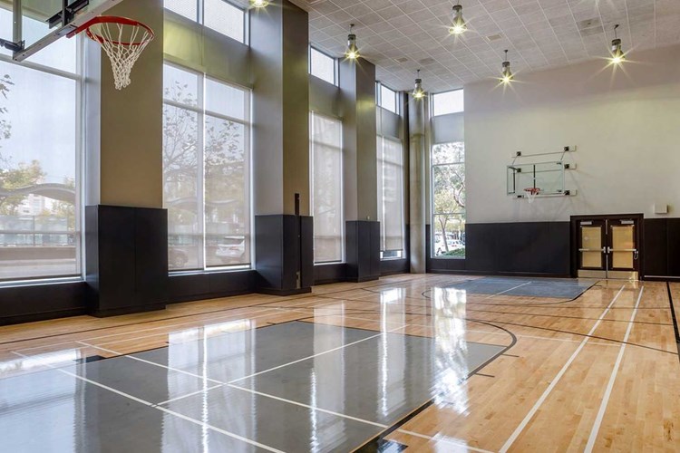 Newly Refinished Basketball Court