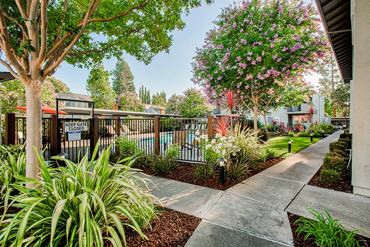 Vibrant landscaping at Pleasanton Place Apartment Homes