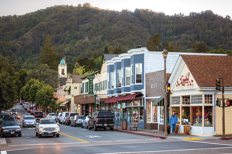 Old Town Larkspur is a quaint area that is perfect for taking a walk and enjoying the outdoors 