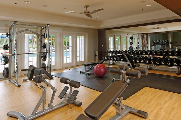 Fitness center with strength and weight equipment