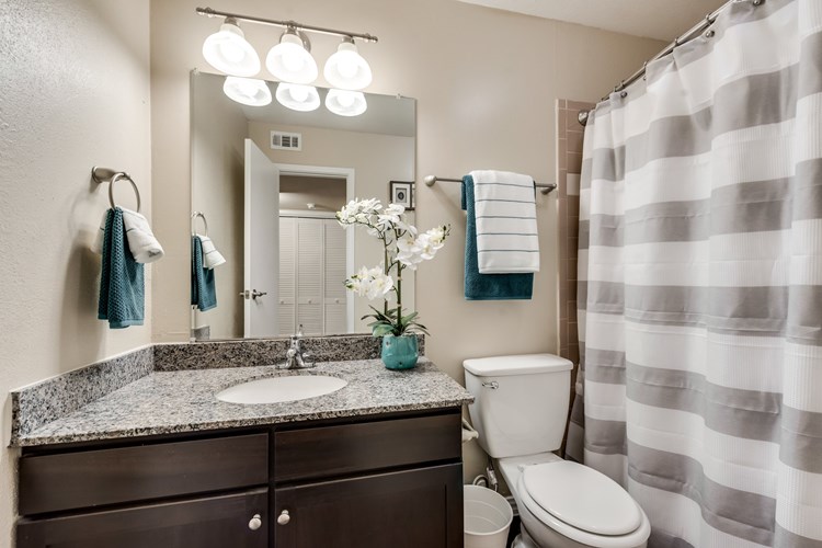 Mount Vernon Apartments | Desoto TX | Large Bathroom