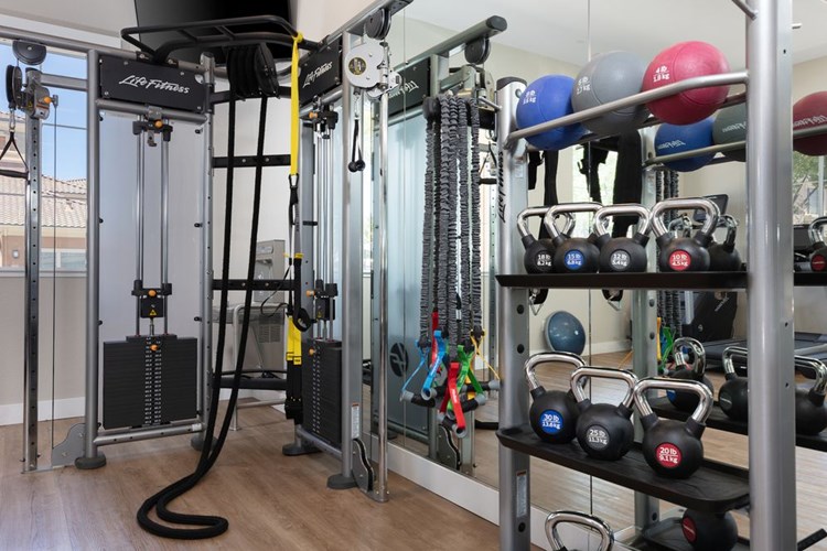 State-of-the-art fitness center with cardio equipment, strength equipment, and free weights