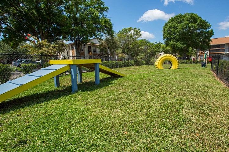 Our bark park features plenty of agility equipment to keep your dog in great shape.