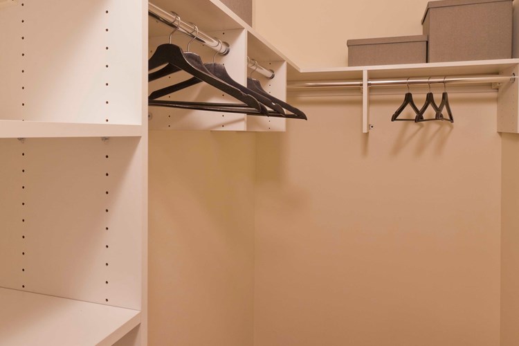 Oversized closets with adjustable shelving