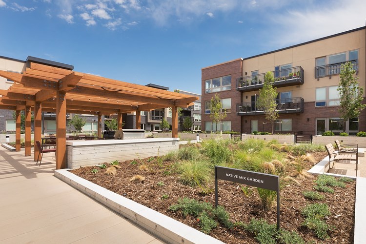 Native mix garden and patio offers a verdant place to relax with family, friends, and neighbors 