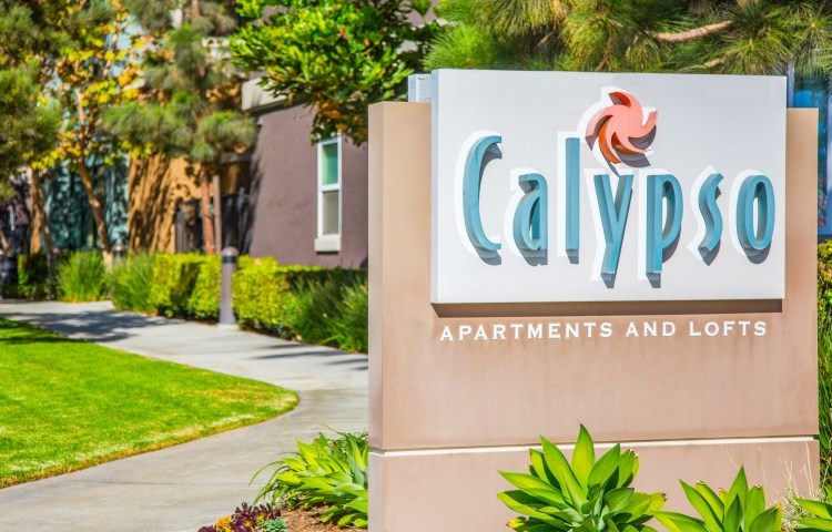 Calypso Apartments and Lofts Image 6