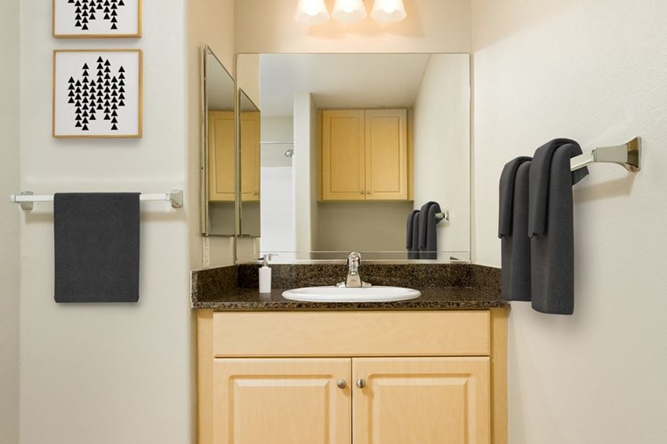 Classic Package I bath with oak cabinetry, dark granite countertop, and hard surface flooring