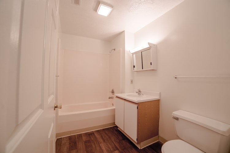 Bathroom in 3 Bed- 2 Bath Apartment