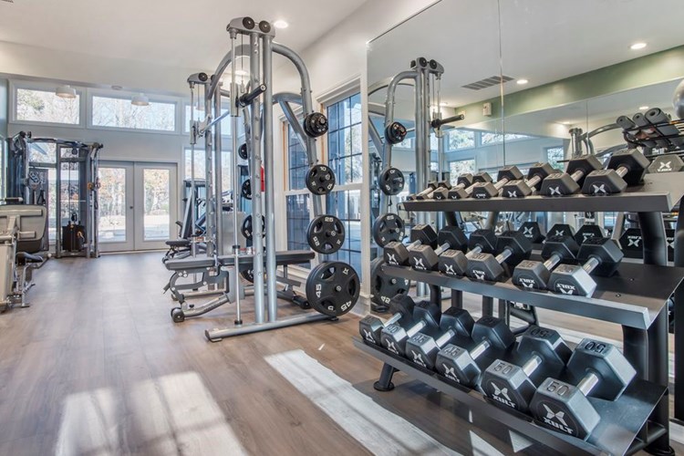 Fitness center with strength equipment