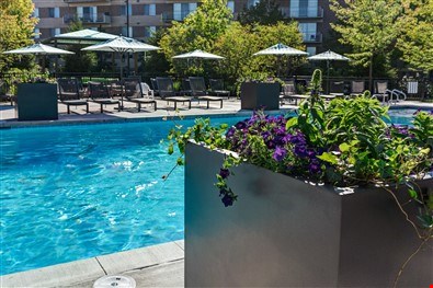 Apartments at Sherri Park Apartments - Lyndhurst