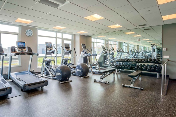 Enjoy your workout in the updated fitness center