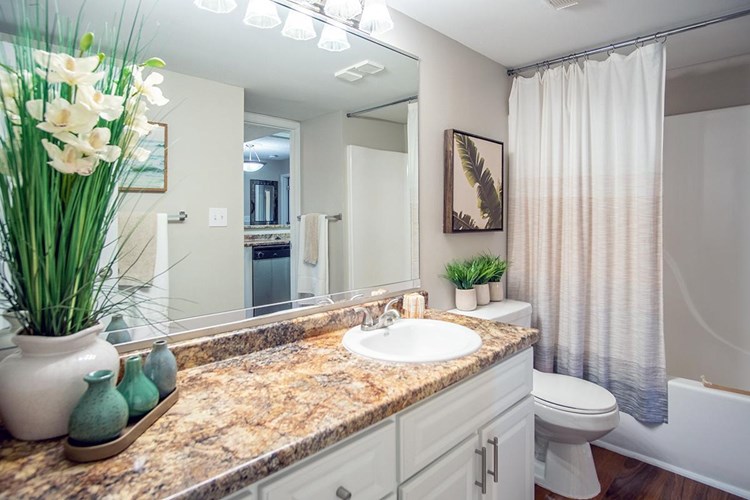 Master bathroom featuring wood-style flooring, granite-style countertops, and a large mirror.