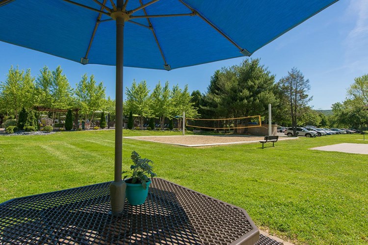 Enjoy a picnic at one of our picnic areas featuring charcoal grills.