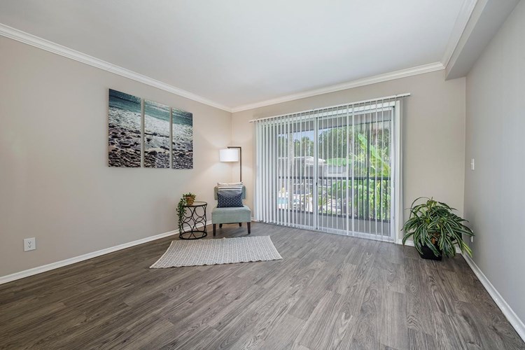 Spacious open living rooms with wood-style flooring available and sliders to your private patio.