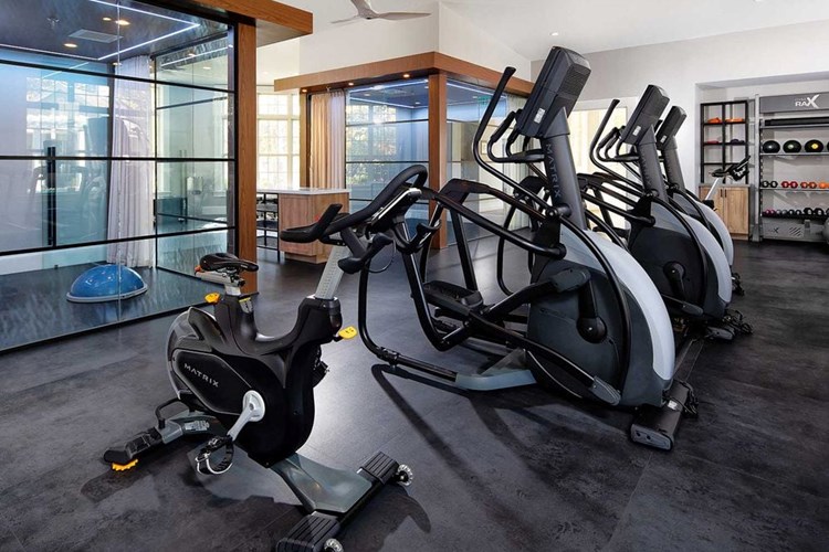 State-of-the-art fitness center cardio equipment