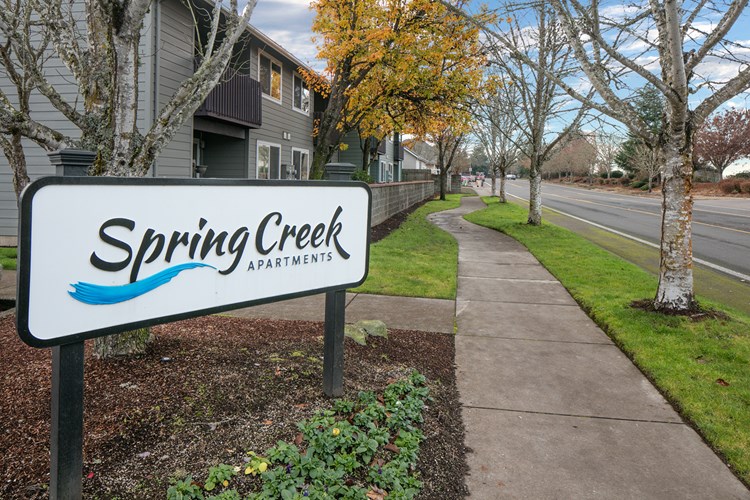 Spring Creek  Image 3