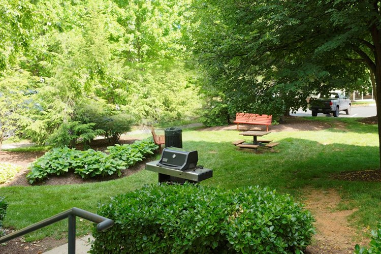 Landscaped courtyard with barbecue grills and seating