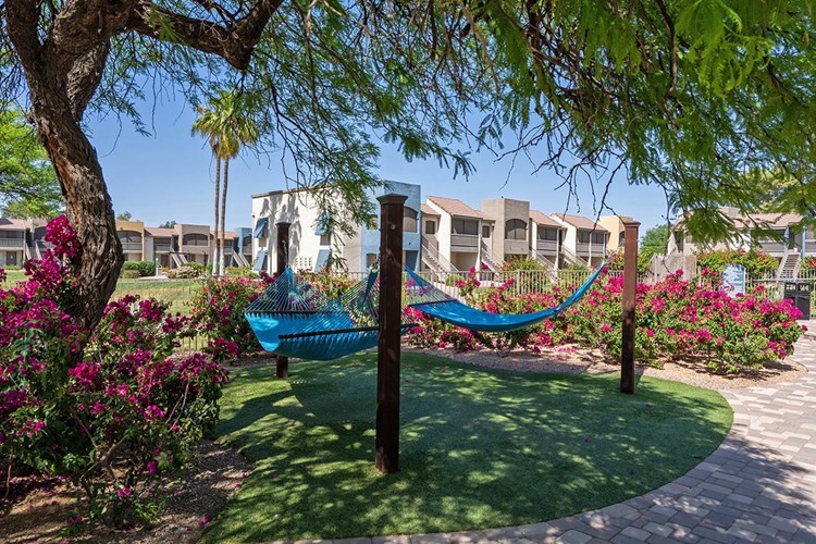 Lay back in one of our hammocks located next to the pool.