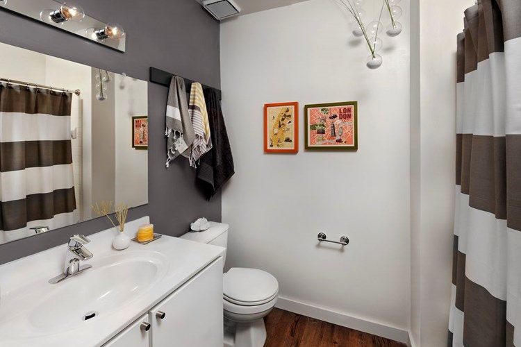 Classic Package bath with white cabinetry and vanity, grey accent wall and hard surface flooring