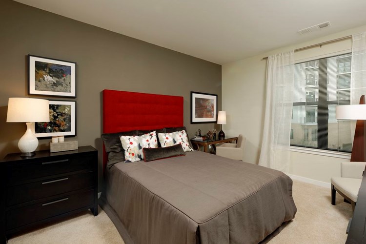 Contemporary bedroom with accent wall and carpet