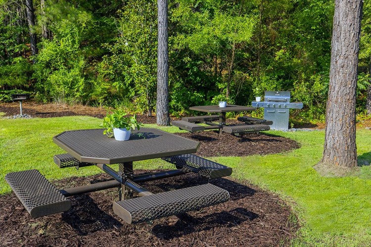 Have a cookout at our picnic area featuring a gas grill.