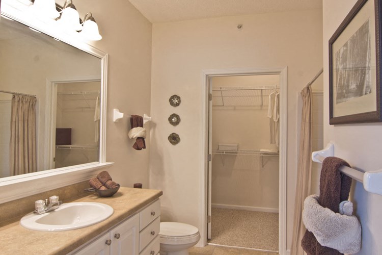 Large bathroom vanities with drawers