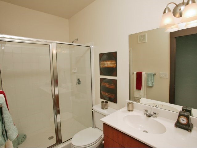 Spacious Bathrooms with Storage