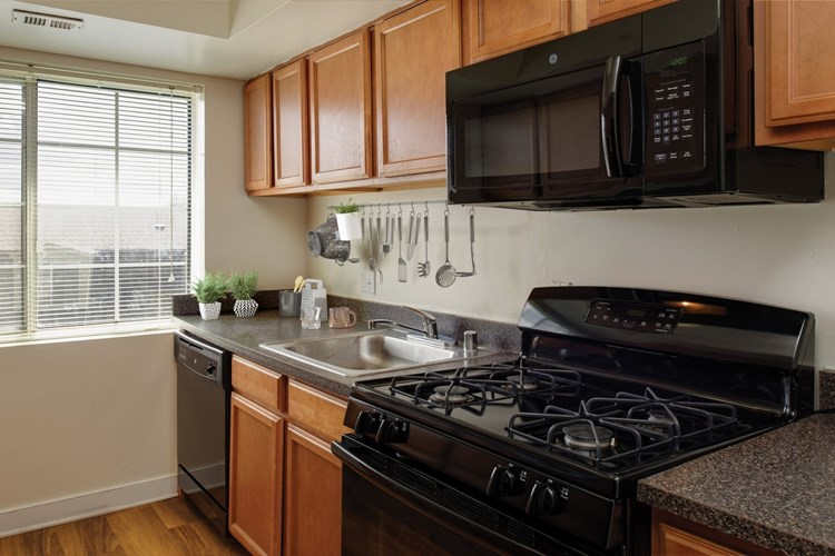 Kitchens provide ample cabinet and counter space