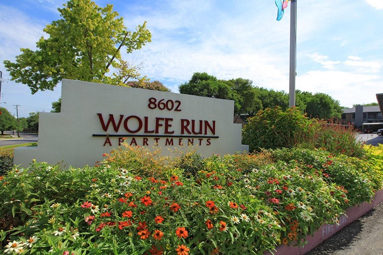 Wolfe Run Image 5