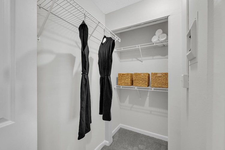 Huge walk-in closets with closet organizers!