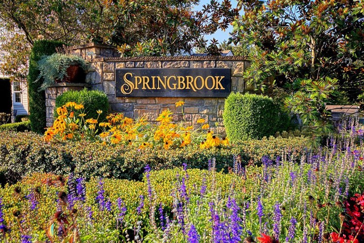 Springbrook Image 12