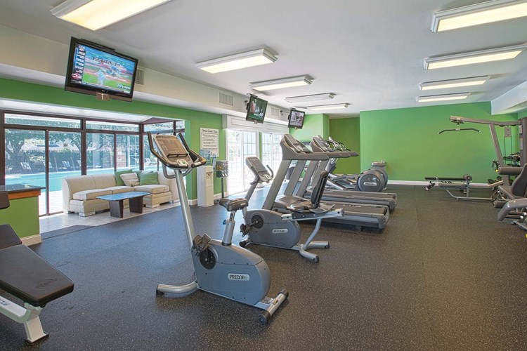 Fitness center with cardio and weight training equipment